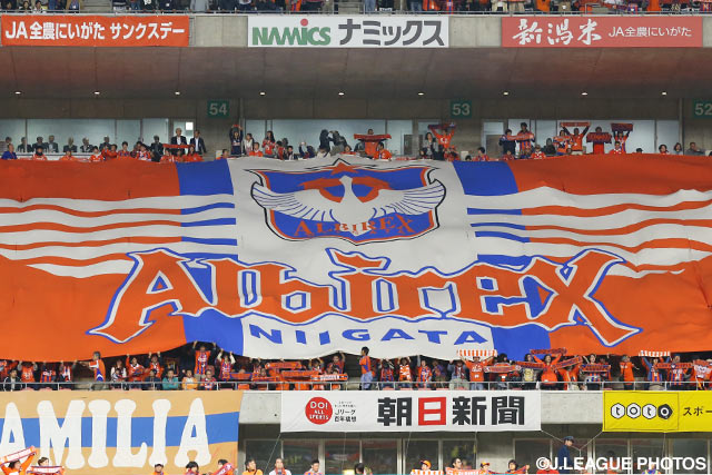 Albirex boost striking options with Brazilian Kalil