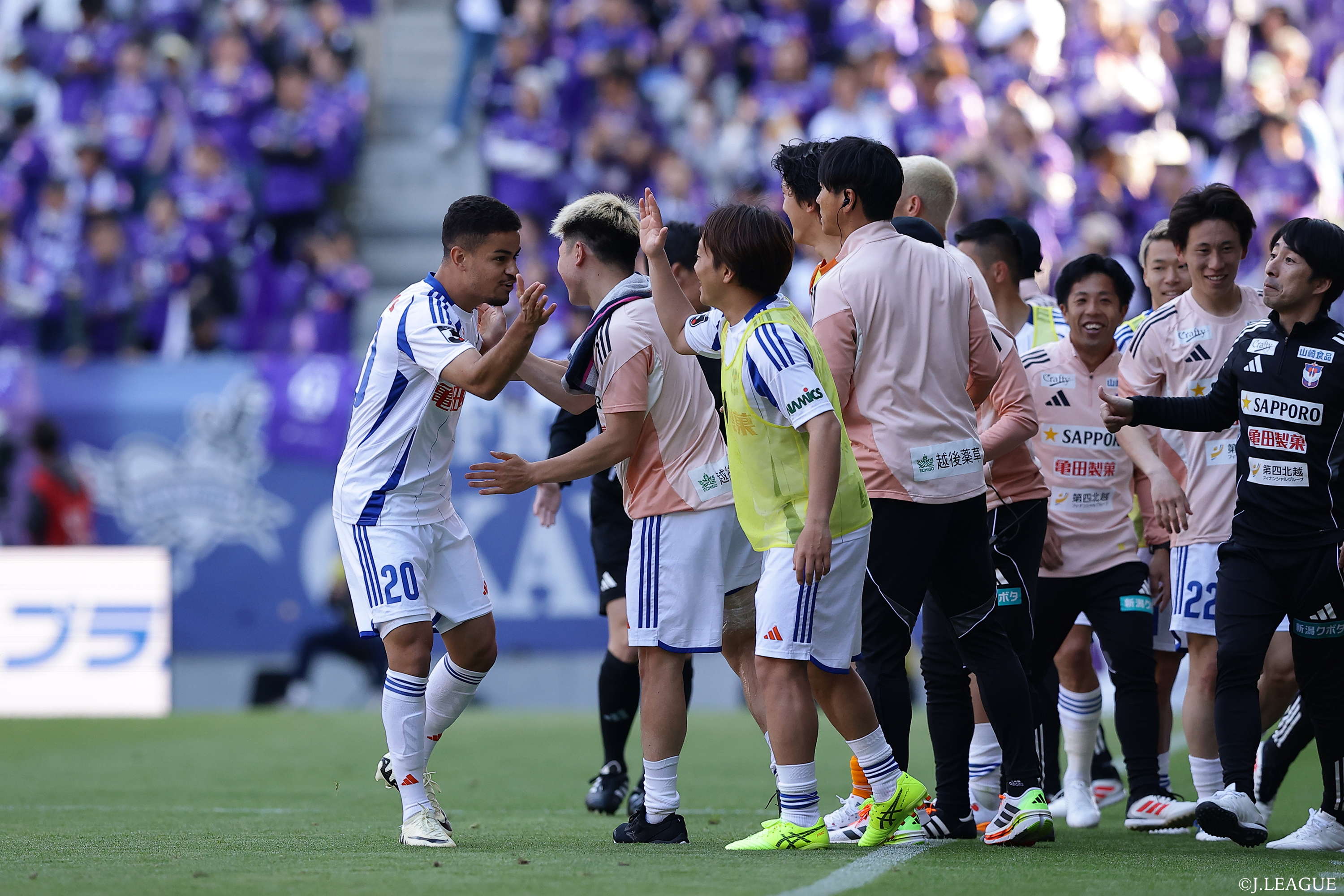 Matchweek13_Niigata_Miguel Silveira