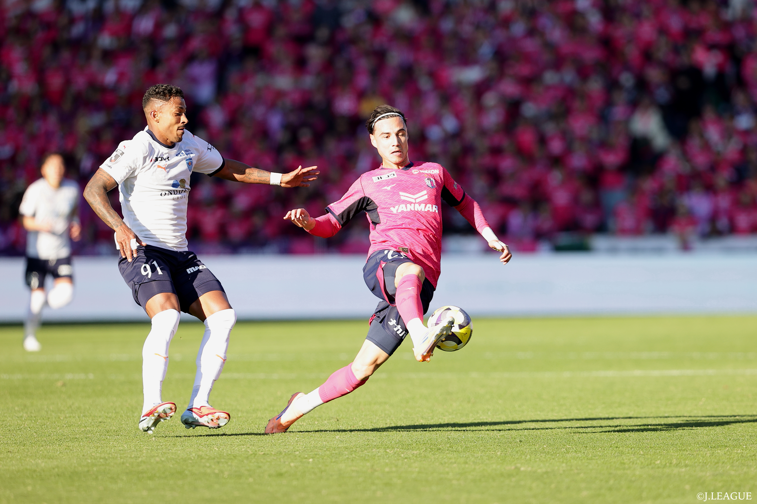 ディオンクルーズ